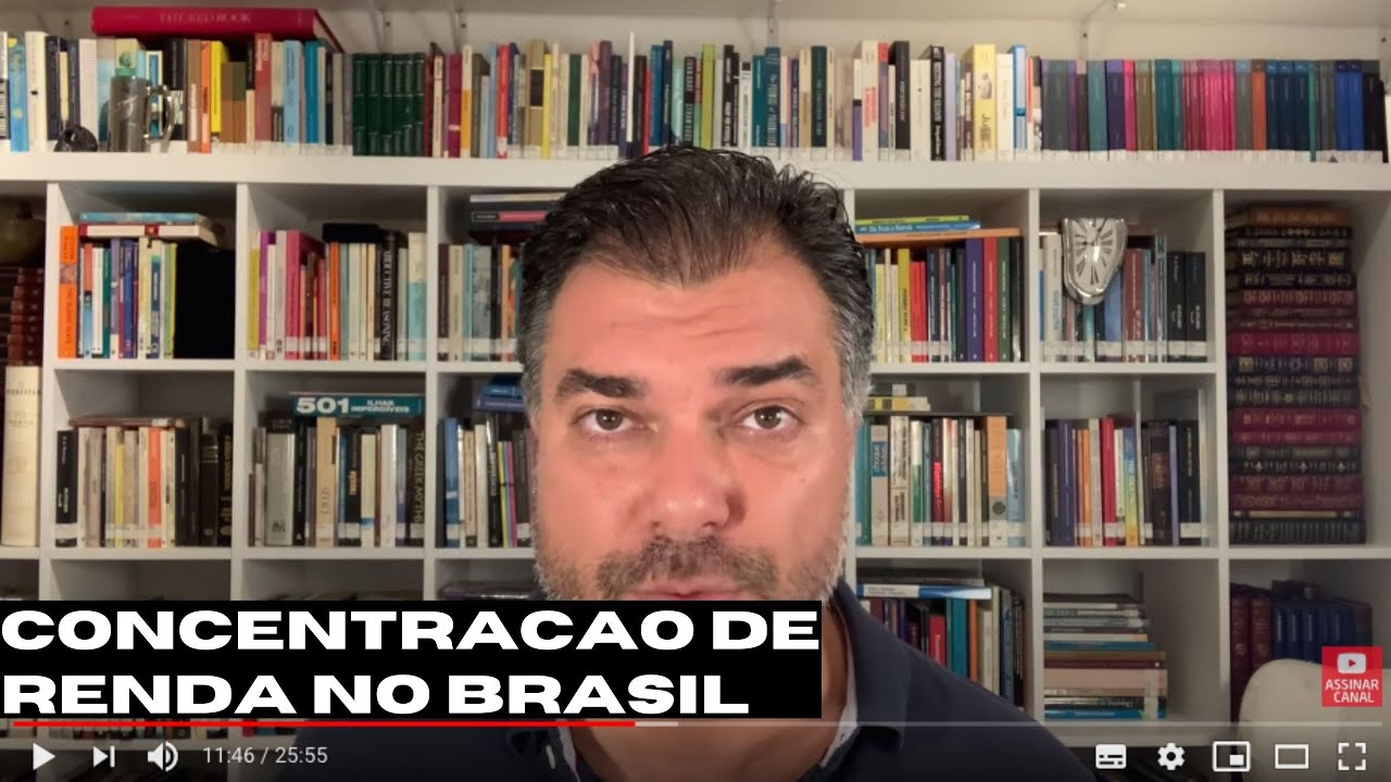 Desigualdade e concentração de renda no Brasil