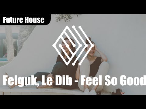 Felguk, Le Dib - Feel So Good