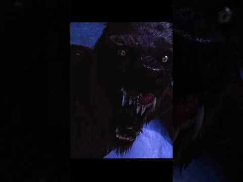 The classic werewolf's transformation scene!#vanhelsing #shorts #shortvideo #viralvideo #viral