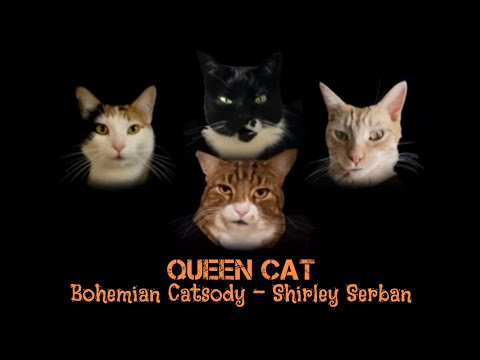 QUEEN CAT  Bohemian Catsody - Shirley Serban
