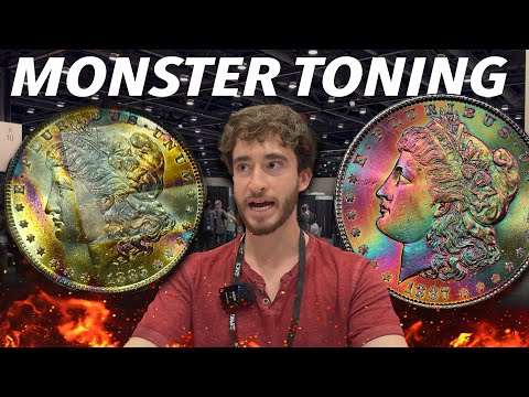 These toned Morgan Dollars had me SPEACHLESS