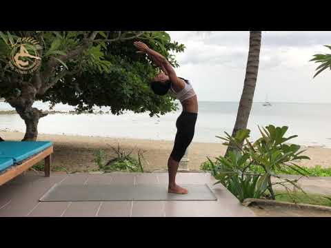 Sun Salutation/ Surya Namaskar - Traditional Hatha version