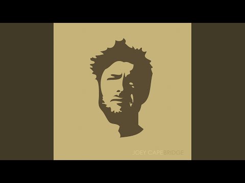 We're Not in Love Any More - Joey Cape