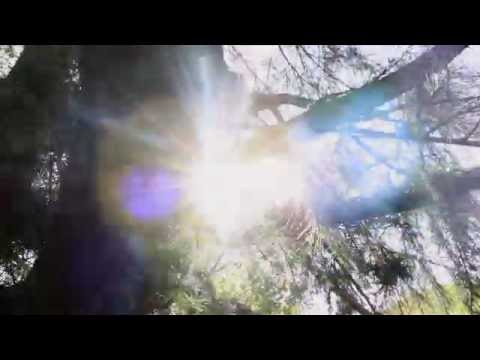 UNA CASA CON DIEZ PINOS - PAPPO X JUANSE (feat. PETECO CARABAJAL)