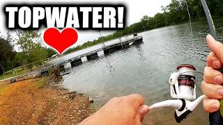 This Is WHY I LOVE Topwater Bass Fishing!!!