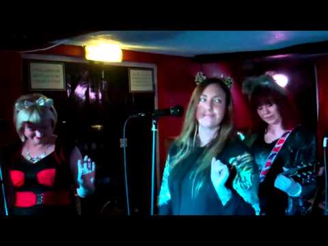 Badly Stuffed Animals. Winchester Gate, Saturday 7th December