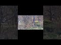 Gaming Hkarmy Outside Paintball Paintballmarker Tippmann Vevor Woodsball Valken Triumph