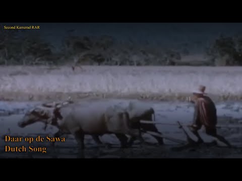 Daar Op De Sawah - Dutch Song - With Lyrics