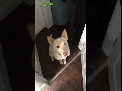 Когда намек понятен без лишних слов