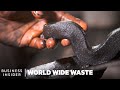 Briquettes Made From Coconut Waste Could Reduce Deforestation World Wide Waste