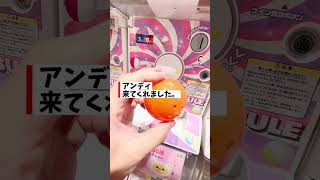 スヌーピーのマーブルアクリルチャーム、コンプするまで回してみた