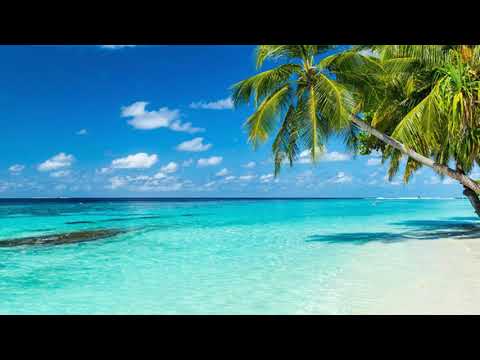 Viugolo - Oxy Vavine