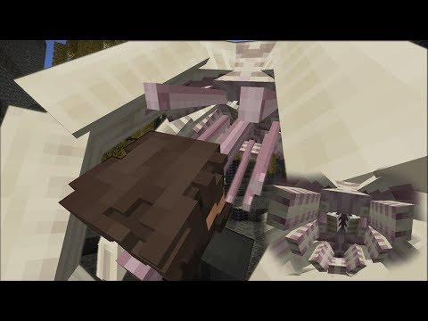 Ulandos - Trilobites & More | Minecraft AVP Spotlight