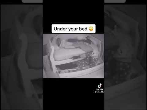 5 | Scariest Clown Sightings | Subscribe For More #HorrorTok 😱 #Creepy #Horror #FYPP