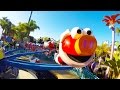 4k Elmo S Flying Fish SeaWorld San Diego CA