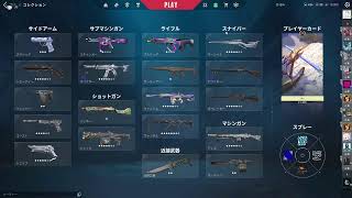 勝者　　valorant