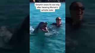 Mariah Carey sings to Dolphin with crazy high whistles and scares Dolphin away (iconic) #mariahcarey