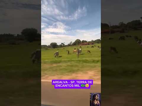 AREALVA - SP, TERRA DE ENCANTOS MIL 🇧🇷😉 @QueHistoriaeEssaMax