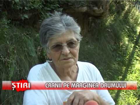 Cranii pe marginea drumului - www.1tvbacau.ro (23.06.2013)