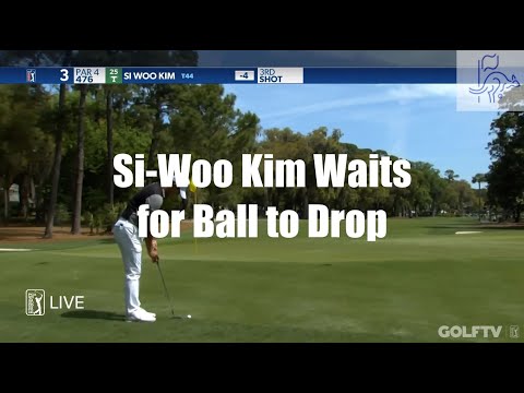 Si-Woo Kim Waits Too Long for His Ball to Drop - Golf Rules Explained