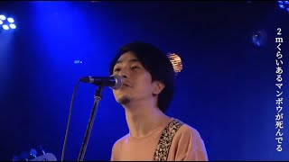 【Live】家の裏でマンボウが死んでる / 家の裏でマンボウが死んでるP(2020年8月17日 @浅草橋マンホール)