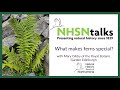 What Makes Ferns Special?