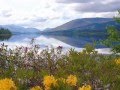 Robert Burns: "Macpherson's Farewell ...