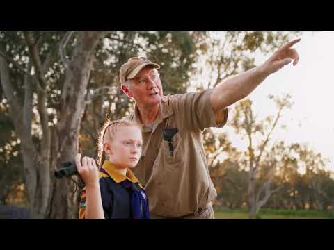 Gum Swamp Bird Hide