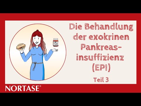 Die Behandlung der exokrinen Pankreasinsuffizienz – NORTASE® – Teil 3
