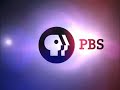 PBS Distribution 2004 Logo