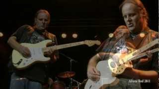 Walter Trout - Going Down (2012)