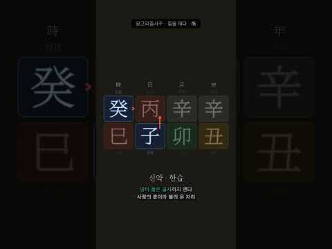 글자는 하나뿐인데 세력이 30%다 | 알고리즘으로 푸는 사주 3