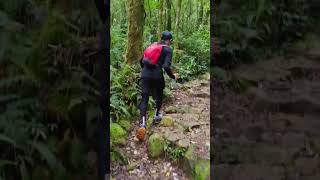 Download lagu Tracking Gunung Gede Pangrango via Cibodas | TETOK. #shorts #drone #gununggedepangrango #bogor mp3 Download lagu Tracking Gunung Gede Pangrango via Cibodas | TETOK. #shorts #drone #gununggedepangrango #bogor mp3