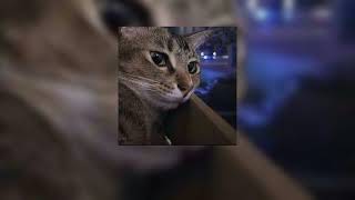 Cover art for hesitations