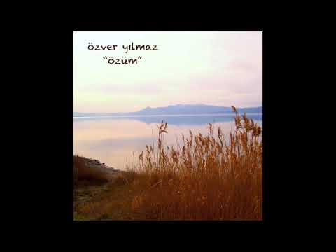 Sonsuz Düşler - Deli Gömleği