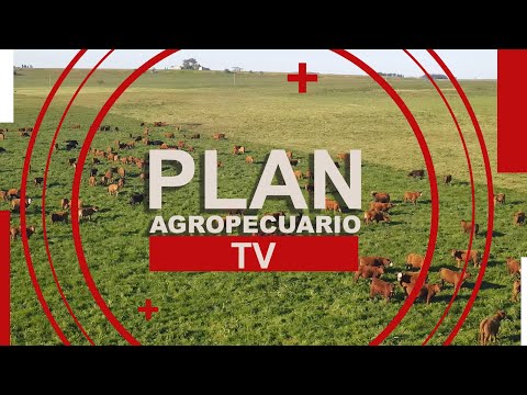 Programa Plan Agropecuario TV del 9 de diciembre de 2024