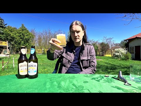 Dłutowskie degustacje - Miłosław Białe i Bezalkoholowe Pszeniczne