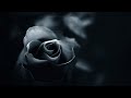 Relaxing Dark Romantic Music – Black Rose ★290 | Spooky, Gothic