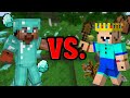 Noob VS Pro Minecraft von GoldenArmor Noob VS Pro Minecraft von GoldenArmor