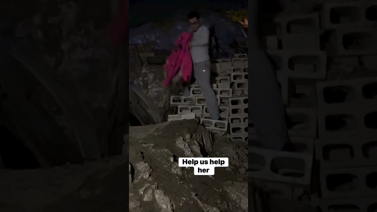 Joy video