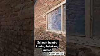 Download lagu Sejarah bambu kuning belakang rumah. #serem #jelajahsupranatural #horor #kisahmisteri mp3