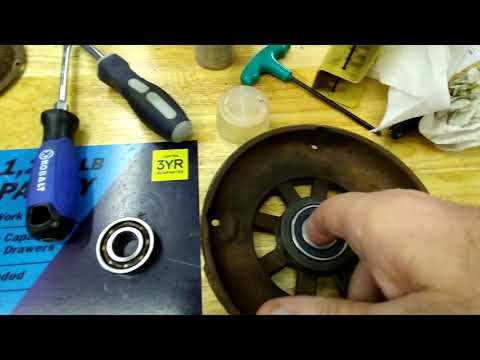 loud 6203 bearings