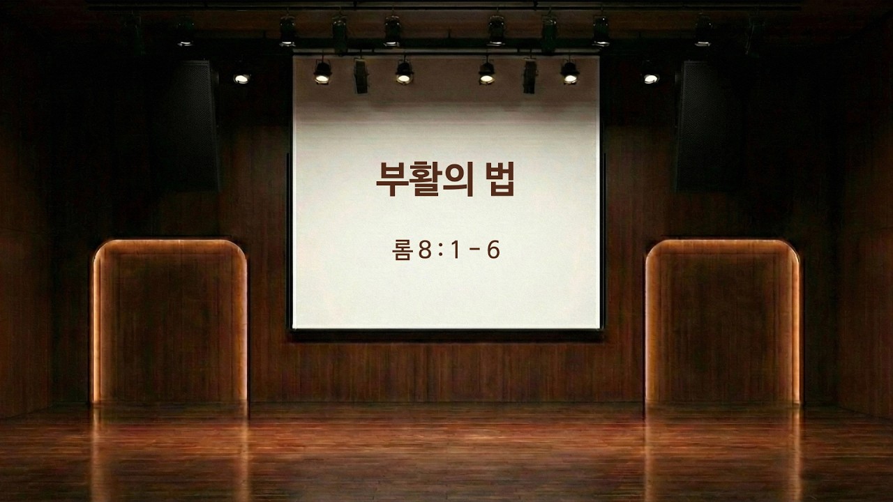 부활의 법