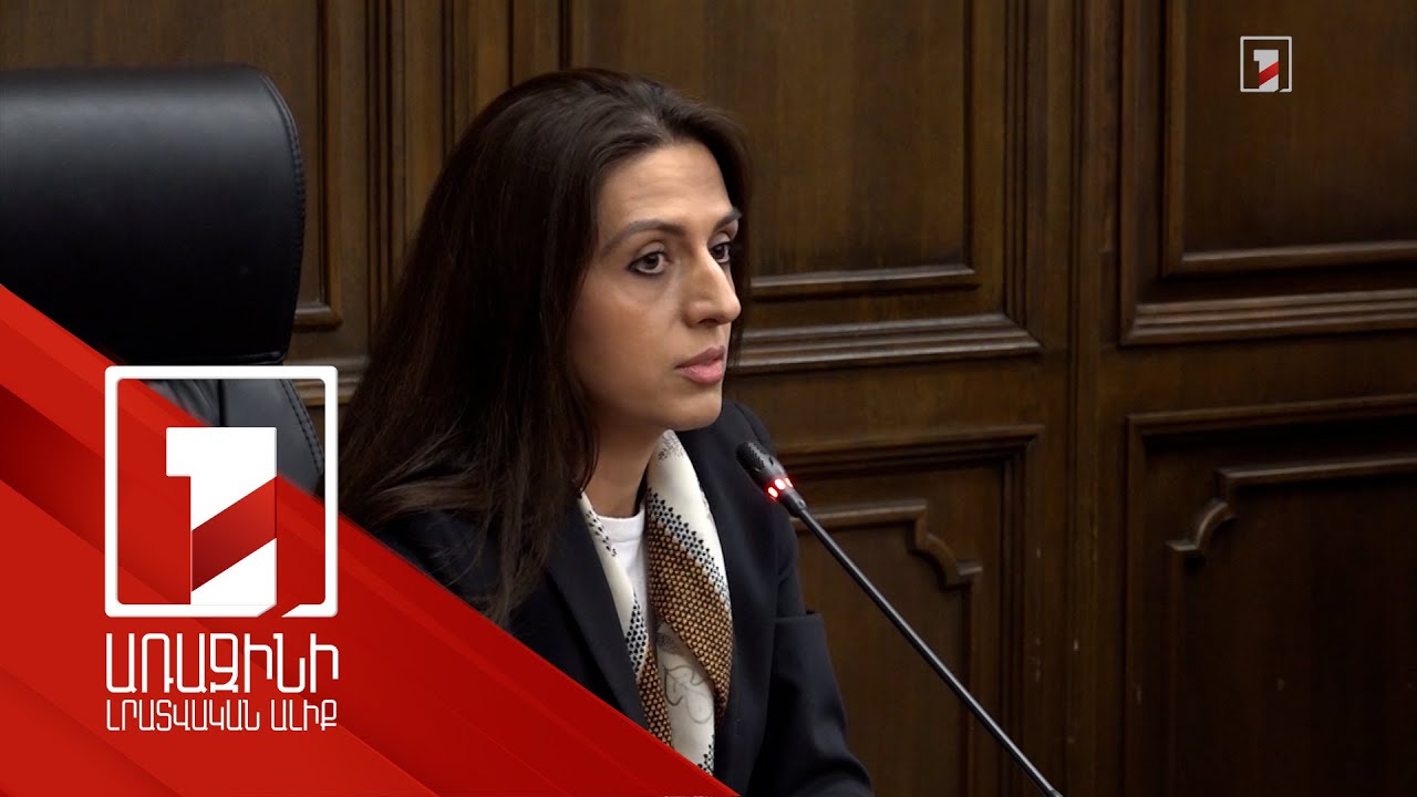 Գրեթե 20 հազար դիմում-բողոքներ ու զանգեր ՄԻՊ գրասենյակին. 2024 բյուջեն կատարվել է 97.7 տոկոսով