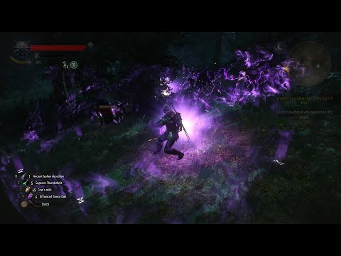 When you unlock Griffin Armor Set and Play with Yrden Only