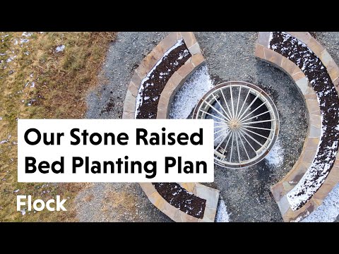 COMPANION PLANTING Plan for Stone Raised Beds — Ep. 139