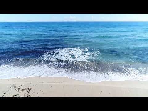 Travel with jenny ( Beautiful Nature whatsapp status video)