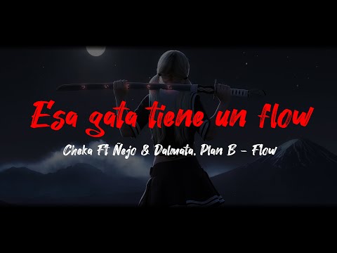 Esa gata tiene un Flow - Cheka Ft Ñejo & Dálmata, Plan B - Remix (Letra)