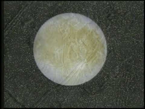 Секрет морских глубин / Deep sea, deep seacrets ,США, Документальный