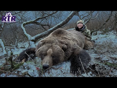 Sarah's Alaskan Kodiak Brown Bear